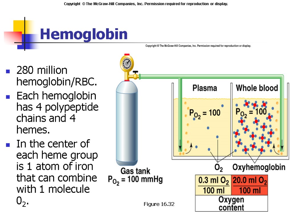 Hemoglobin 280 million hemoglobin/RBC. Each hemoglobin has 4 polypeptide chains and 4 hemes. In